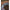 Fir Monofilament Fox Soft Steel Fleck Leader, Camo, 27.3kg, 60lbs, 0.70mm, 80m