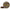 Fir Monofilament Genlog Enso Ilussion Method Feeder, Brown, 10.2kg, 0.27mm, 200m