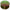 Fir Monofilament Katran Crypton Carp &amp; Method Feeder, Moss Green, 0.203mm, 7.50lb/3.40kg, 300m
