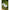 Fir Monofilament Korum Glide Finesse Mono 150m, 0.19mm, 5.5lb