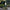 Fir Monofilament Kryston Score Longshot Mono, Olive, 0.285mm, 14.0lbs/6.6kg, 1000m