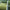 Fir Monofilament Kryston Score Longshot Mono, Olive, 0.35mm, 20.0lbs/9.4kg, 1000m