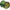 Fir Monofilament Team Feeder By Dome Camo Green, 12.80kg, 0.30mm, 1000m
