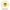 Fir Monofilament Tubertini T-surf Yellow, 2kg, 0.14mm, 600m