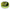 Fir Monofilament Varivas Kurodai Special Vep Flash Yellow 100m 0,235 MM