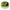 Fir Monofilament Varivas Kurodai Special Vep Flash Yellow 100m 0,285 Mm