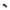Fir Territory Purple - 0.30mm/10.90kg/600m