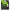 Fir Textil Berkley Sick Braid, Flame Green, 0.08mm, 6kg 2000m