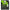 Fir Textil Berkley Sick Braid, Moss Green, 0.08mm, 6kg 2000m