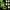 Fir Textil Berkley Sick Braid, Hv Yellow, 150m, 0.14mm, 16.5kg