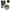 Fir Textil Black Cat Zeus Line G2, Green, 46kg, 0.45mm, 250m