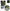 Fir Textil Black Cat Zeus Line G2, Green, 46kg, 0.45mm, 250m