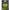 Fir Textil Carp Academy Spod&marker Braid, 250m, 0.18mm, 14.5kg