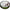 Fir Textil Daiwa Tournament 8x Braid Evo+ Chartreuse, 135m, 0.16mm, 12.2kg