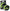Fir Textil Dreamline Competition - 0.10Mm/8.73Kg/150M - Fluo Green