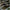 Fir Textil Korum Smokeshield Coated Braid 15lb