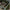 Fir Textil Korum Smokeshield Coated Braid 15lb