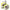 Fir Textil Mikado Nihonto Fine Braid, Fluo Yellow, 0.50mm, 41.8kg, 300m