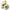 Fir Textil MIKADO Nihonto Fine Braid, Fluo Yellow, 0.50mm, 41.8kg, 300m