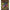 Fir Textil Spomb  Xd Pro Braid Grey 8+1, 0.18mm, 24lbs-10.9kg, 300m