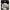 Fir Textil Vagner Braided Line Camo Multicolor, 41kg, 0.40mm, 300m