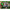 Fir Textil Ygk X-braid X8 Upgrade Pe 0.6, 0.128mm, 14lb, 150m