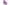 Fir Ultraviolet 0.06Mm/0.67Kg/150M