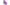 Fir Ultraviolet 008 150 M