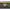 Fir Fluorocarbon Quantum Fluoro Carbon Predator 0.35mm 25m