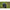 Fish Counter Preston Offbox Clicker Counter