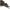 Flotor Minciog Nash Subterfuge Net Float Camo Large