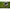 Foarfeca Tripla Avid Worm Chopperz