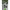 Fox Rage Predator Camo Deadbait Pop-up Weights, 5g, 5buc/pac