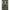 Fox Rage Predator Camo Low Resistance Run Ring, 5buc/pac