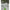 Fox Rage Predator Deadbait Kebab Kit, Natural, 4buc/pac