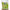 Groundbait Bait Tech Special G Green 1kg