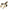 Grub Colmic Rugby Craw 3" 7.6cm Pb  J