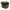 Galeata Radical Camou Bucket with Lid 10L