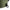 Galeata Ridgemonkey Perspective Collapsible Bucket 10 Litri