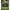 Galeata Spomb Camo Bucket, 18l