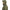 Geaca Dam Manitoba Xt Jacket Thyme Green, Marime 2xl