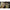 Geanta Accesorii Korda Compac Camera Bag, Small