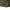Geanta Avid Carp Vs Carryall Large, 60x40x30cm