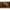 Geanta Buzz Bar Korda Compac, Large, Dark Kamo, 40x17x8cm