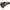 Geanta Camolite Shoulder Wallet, 5x5.5x23cm
