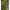 Geanta Daiwa Back Widow Compact Bwctb 52x30x24cm
