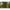 Geanta Eva Avid Carp Stormshield 45x26x27cm