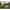 Geanta Fox Rage Camo Voyager Belt Bag, 68x21x18cm