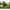 Geanta Fox Rage Camo Voyager Moulded Xl Carryall, 50x33x31cm