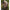 Geanta Fox Camolite Barrow Organiser 55l, Large, 68x39x29cm
